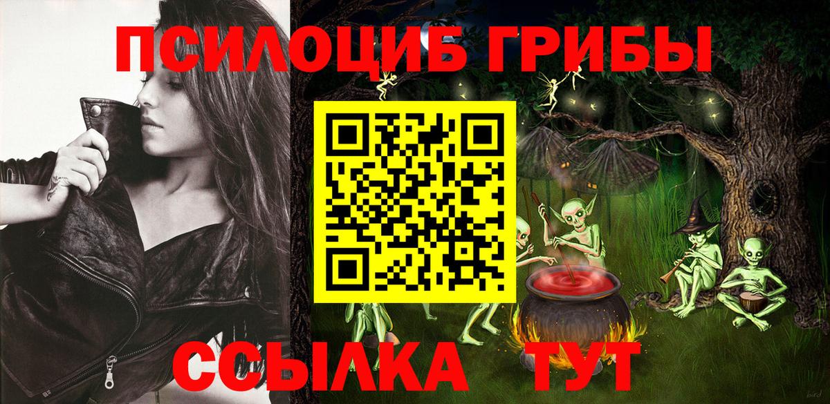 Галлюциногенные грибы Cubensis Копейск